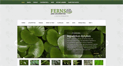 Desktop Screenshot of fernsoftheworld.com