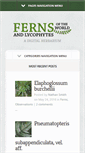 Mobile Screenshot of fernsoftheworld.com
