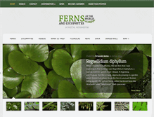 Tablet Screenshot of fernsoftheworld.com